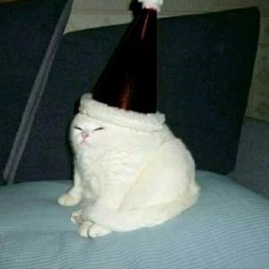 Meet your Posher, Lior